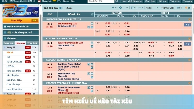 Kèo tài xỉu là gì? Mẹo đánh over/under luôn thắng tại P3Bet 1 Tìm hiểu về kèo tài xỉu